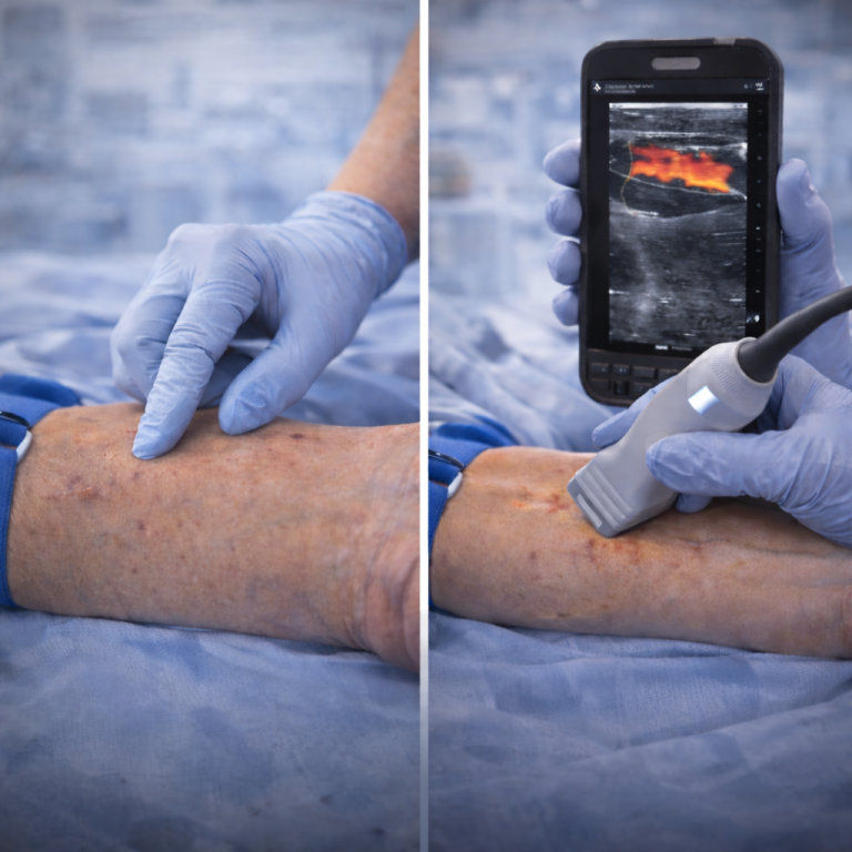 Paractargeta 768x768